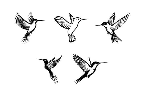 A Graceful Silhouette of a Bird in Fligh