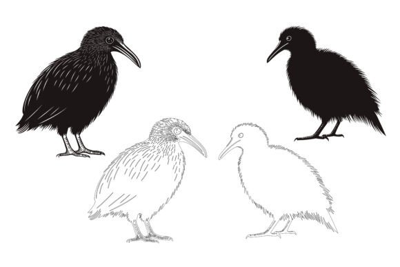 Bald Bird Silhouette Vector Illustration: A Foundation for Efficient Visual Workflows