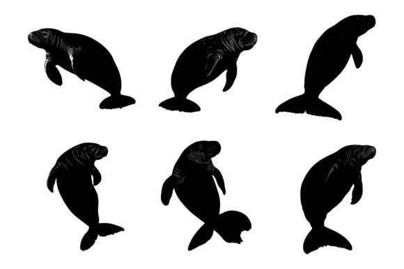 Collection of Dolphins Silhouette: A Practical Design Asset
