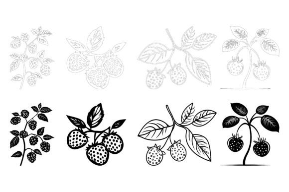 Grapes, Cherry, and Strawberry: Fresh Fruit Illustrations That Work as Hard as You Do