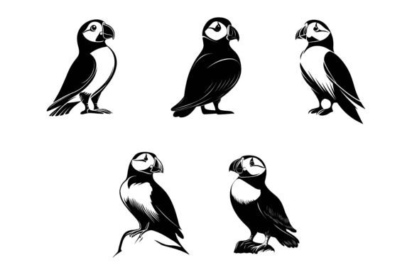 Hand Drawn Parrot Illustration Set: A Strategic Asset for Visual Communication and Brand Storytelling