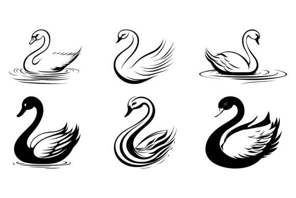 King Duck in Water Swimming: A Versatile Illustration for Creative Projects