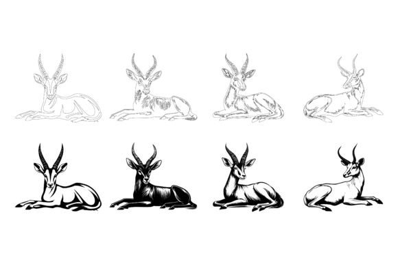 Wild Animals in Sketch Style